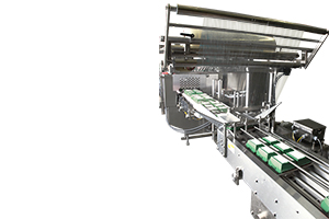 FG-2000S infeed